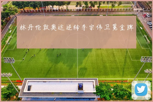 林丹伦敦奥运逆转李宗伟卫冕金牌