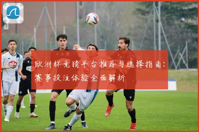欧洲杯竞猜平台推荐与选择指南：赛事投注体验全面解析