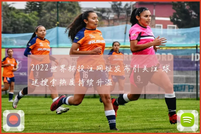 2022世界杯投注网址发布引关注 球迷搜索热度持续升温