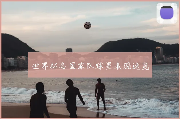 世界杯各国家队球星表现速览