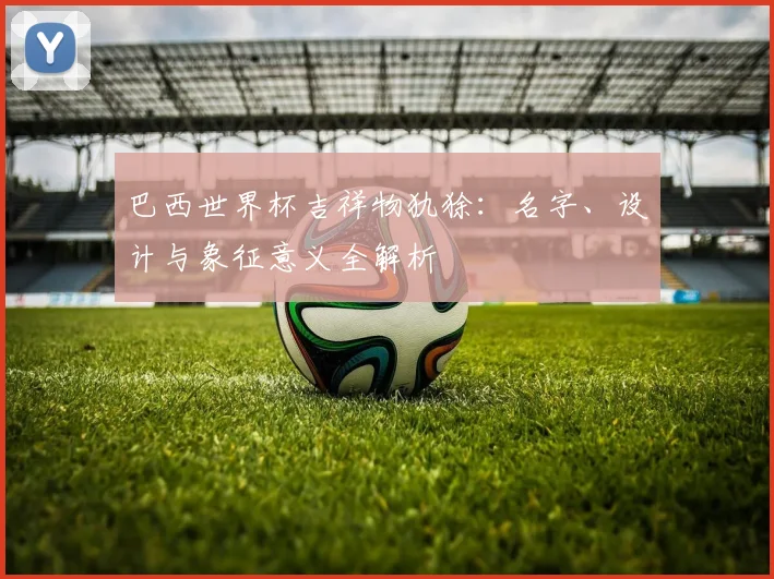 巴西世界杯吉祥物犰狳：名字、设计与象征意义全解析