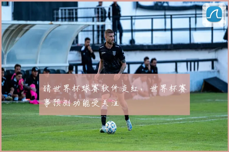 猜世界杯球赛软件走红,世界杯赛事预测功能受关注