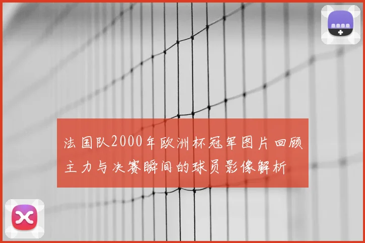 法国队2000年欧洲杯冠军图片回顾主力与决赛瞬间的球员影像解析