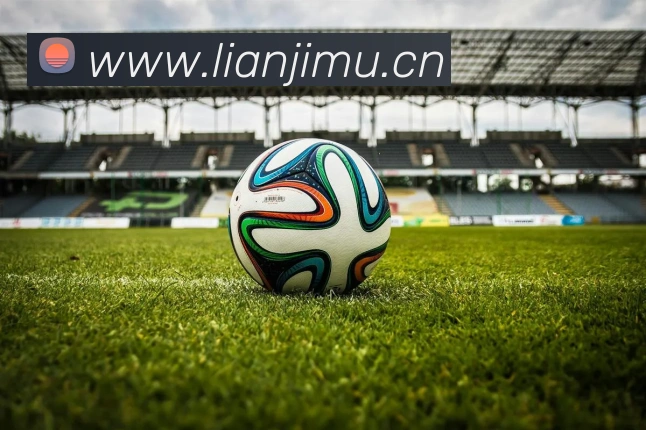 开云手机官方登录平台生态图